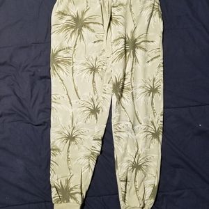 Z supply palm tree jogger